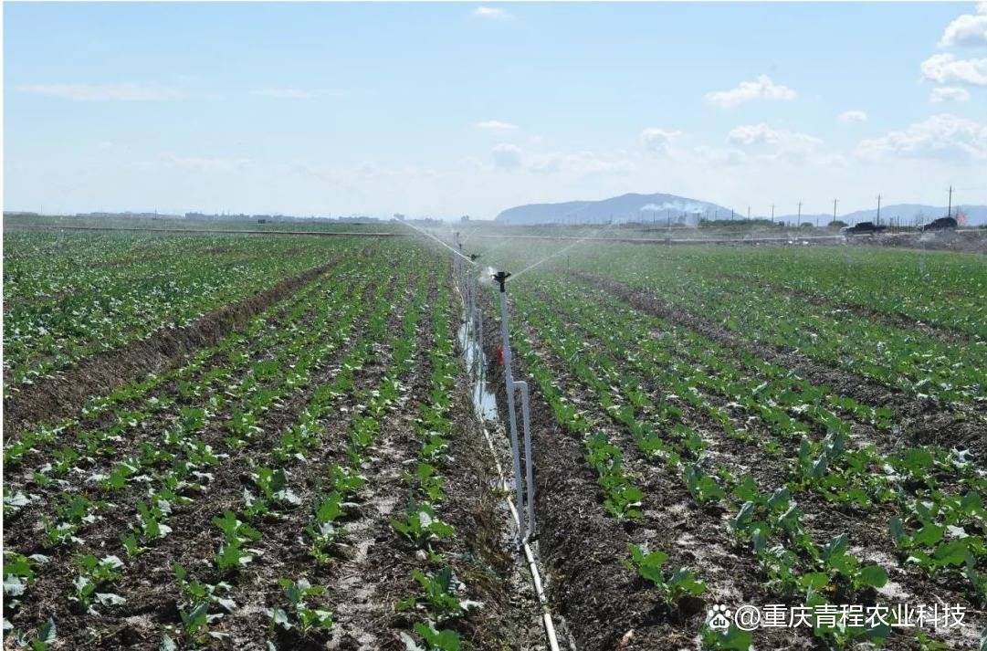 广元节水灌溉 科技引领，守护绿水青山