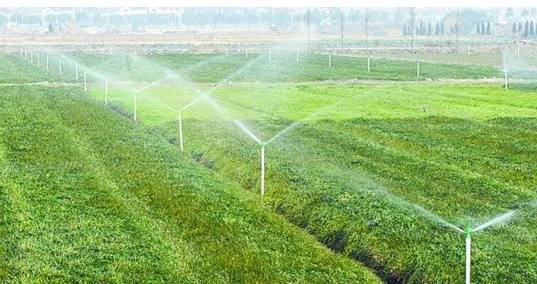 农业节水灌溉措施探析 迈向可持续的水资源管理