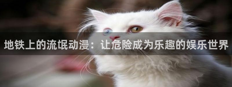 age动漫omofun：地铁上的流氓动漫：让危险成为乐趣的娱乐世界