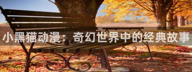 age动漫专注动漫的门户网站：小黑猫动漫：奇幻世界中的经典故事