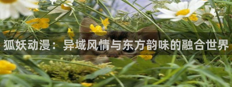 下载age动漫：狐妖动漫：异域风情与东方韵味的融合世界