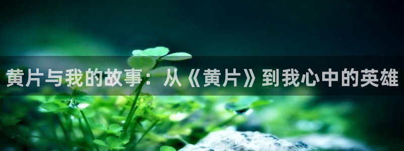 age动漫omofun：黄片与我的故事：从《黄片》到我心中的英雄