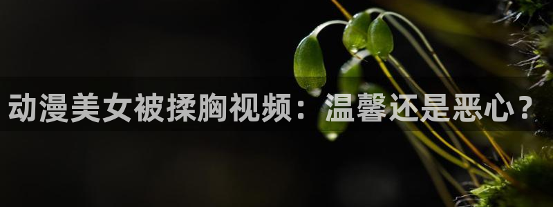 age动漫网上看：动漫美女被揉胸视频：温馨还是恶心？