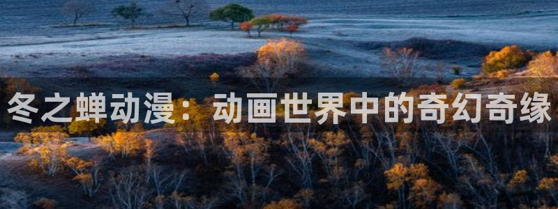 age动漫下载入口：冬之蝉动漫：动画世界中的奇幻奇缘