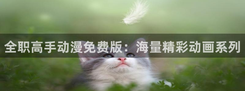 age动漫官网入口老版本：全职高手动漫免费版：海量精彩动画系列
