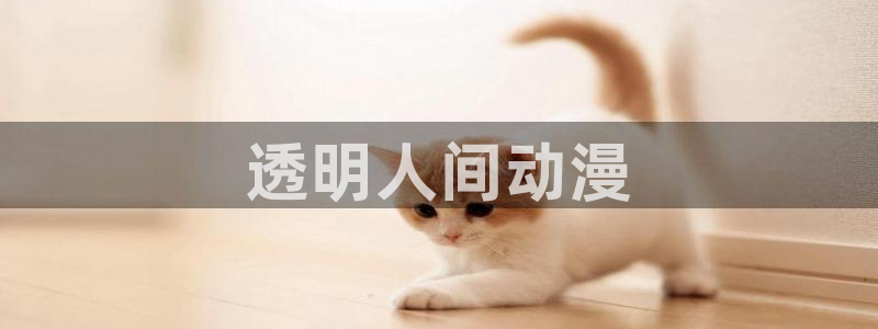 age动漫下载网：透明人间动漫