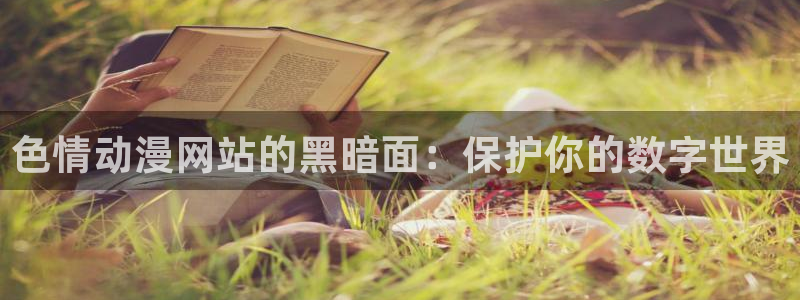 age动漫下载入口：色情动漫网站的黑暗面：保护你的数字世界