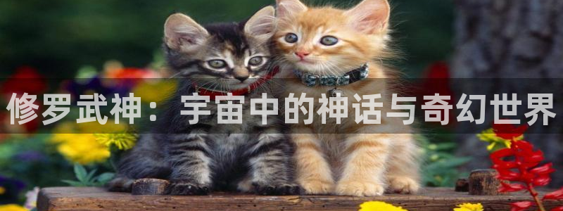 在线动画动漫下载age动漫：修罗武神：宇宙中的神话与奇幻世界