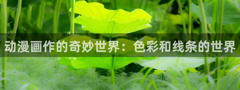age动漫官网网址：动漫画作的奇妙世界：色彩和线条的世界