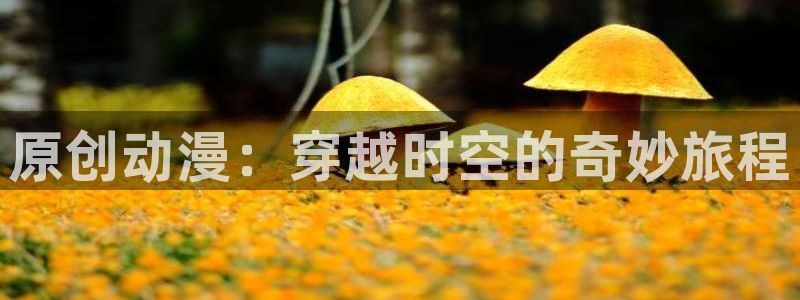 age动漫正版网：原创动漫：穿越时空的奇妙旅程