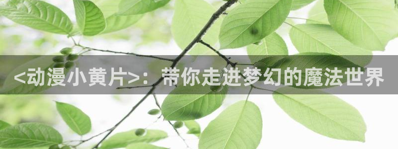age动漫omofun：<动漫小黄片>：带你走进梦幻的魔法世界