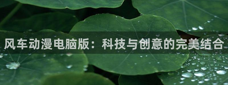age动漫网官网入口：风车动漫电脑版：科技与创意的完美结合