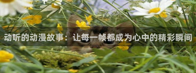managereader漫画官网入口：动听的动漫故事：让每一帧都成为心中的精彩瞬间