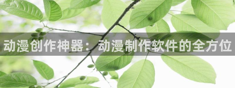 age动漫官网在线入口：动漫创作神器：动漫制作软件的全方位