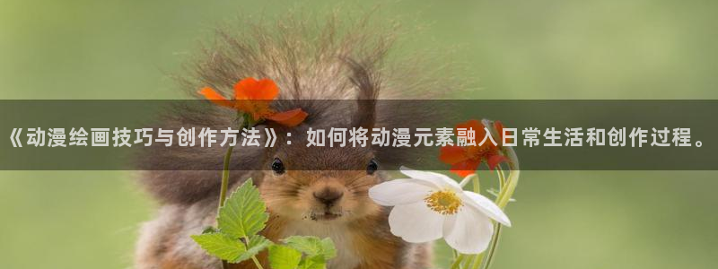 age动漫网