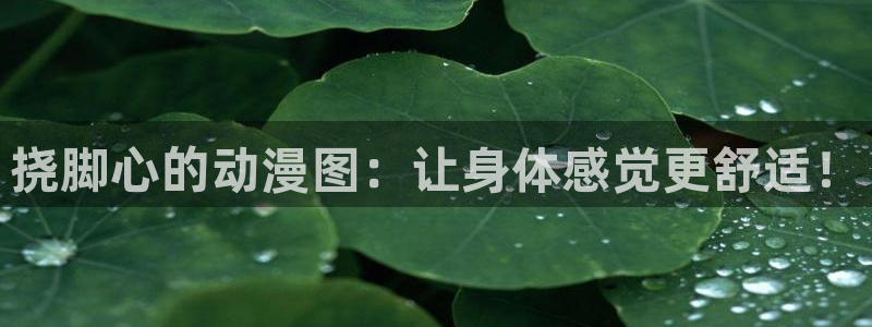 age动漫官网网址