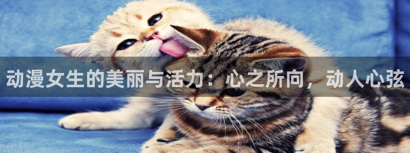 下载age动漫：动漫女生的美丽与活力：心之所向，动人心弦
