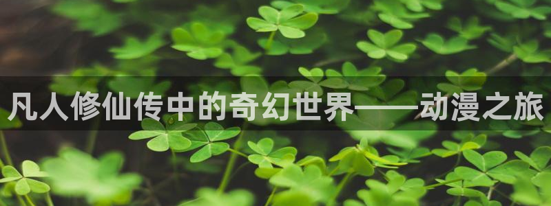 age动漫官网在线入口：凡人修仙传中的奇幻世界——动漫之旅