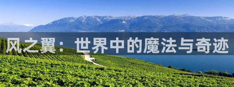 age动漫樱花：风之翼：世界中的魔法与奇迹