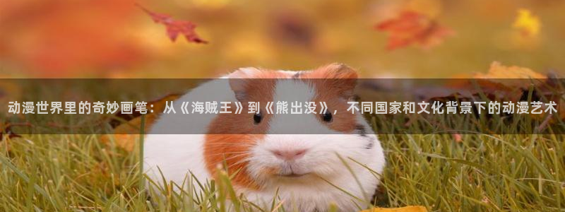 age动漫下载：动漫世界里的奇妙画笔：从《海贼王》到《熊出没》，不同国家和文化背景下的动漫艺术