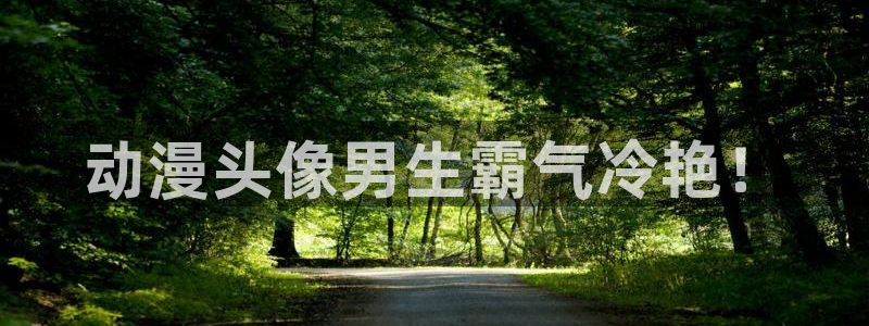 拷贝漫画 copymanager.ory网站：动漫头像男生霸气冷艳！