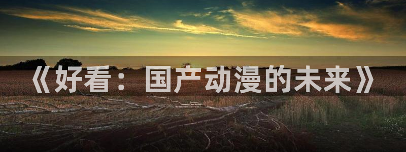 age动漫网上看：《好看：国产动漫的未来》