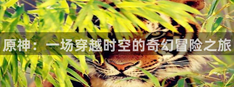 lovestage漫画免费阅读：原神：一场穿越时空的奇幻冒险之旅