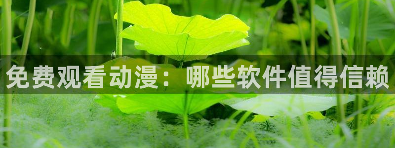 age动漫下载：免费观看动漫：哪些软件值得信赖
