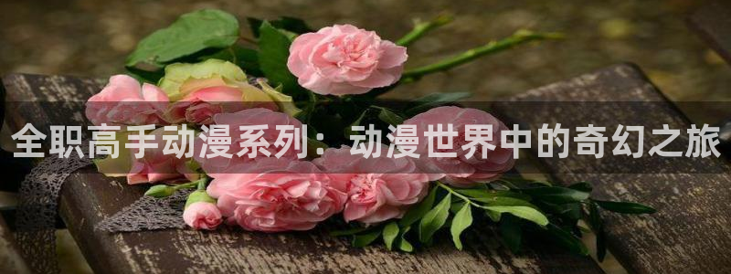 age动漫网上看：全职高手动漫系列：动漫世界中的奇幻之旅